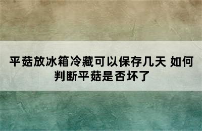 平菇放冰箱冷藏可以保存几天 如何判断平菇是否坏了